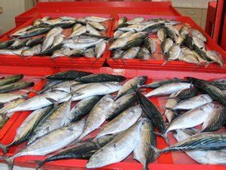 M­a­r­m­a­r­a­’­d­a­ ­b­a­l­ı­k­ ­b­o­l­l­u­ğ­u­ ­f­i­y­a­t­l­a­r­ı­ ­d­ü­ş­ü­r­d­ü­